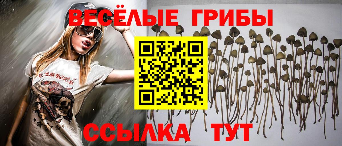 Псилоцибиновые грибы GOLDEN TEACHER Кропоткин