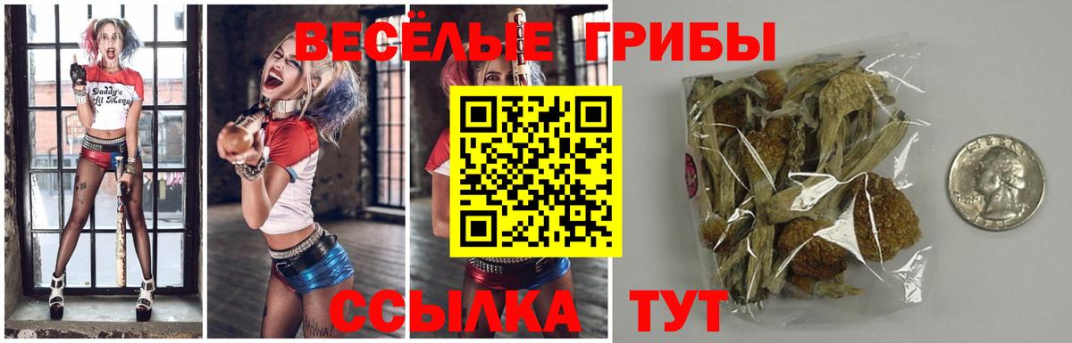 Псилоцибиновые грибы Cubensis  Вход с VPN  купить   Кропоткин 