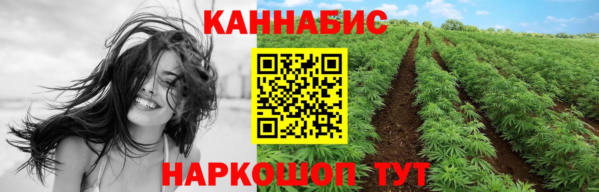 МАРИХУАНА Bruce Banner  Канабис сатива  Вход с VPN  Кропоткин  Шишки марихуана гибрид  Канабис планчик 